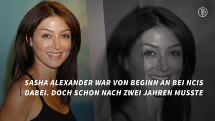 Ehemalige NCIS-Stars: Das machen sie heute