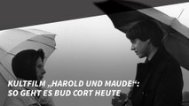 Kultfilm „Harold und Maude“: So geht es Bud Cort heute