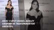 Heiß! Curvy-Model Ashley Graham im transparenten Oberteil