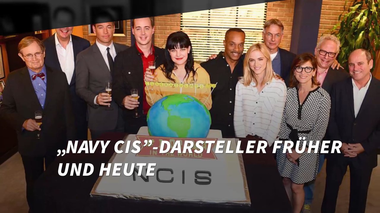 „Navy CIS”-Darsteller früher und heute