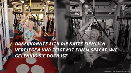 Daniela Katzenberger zeigt sich mega gelenkig beim Sport