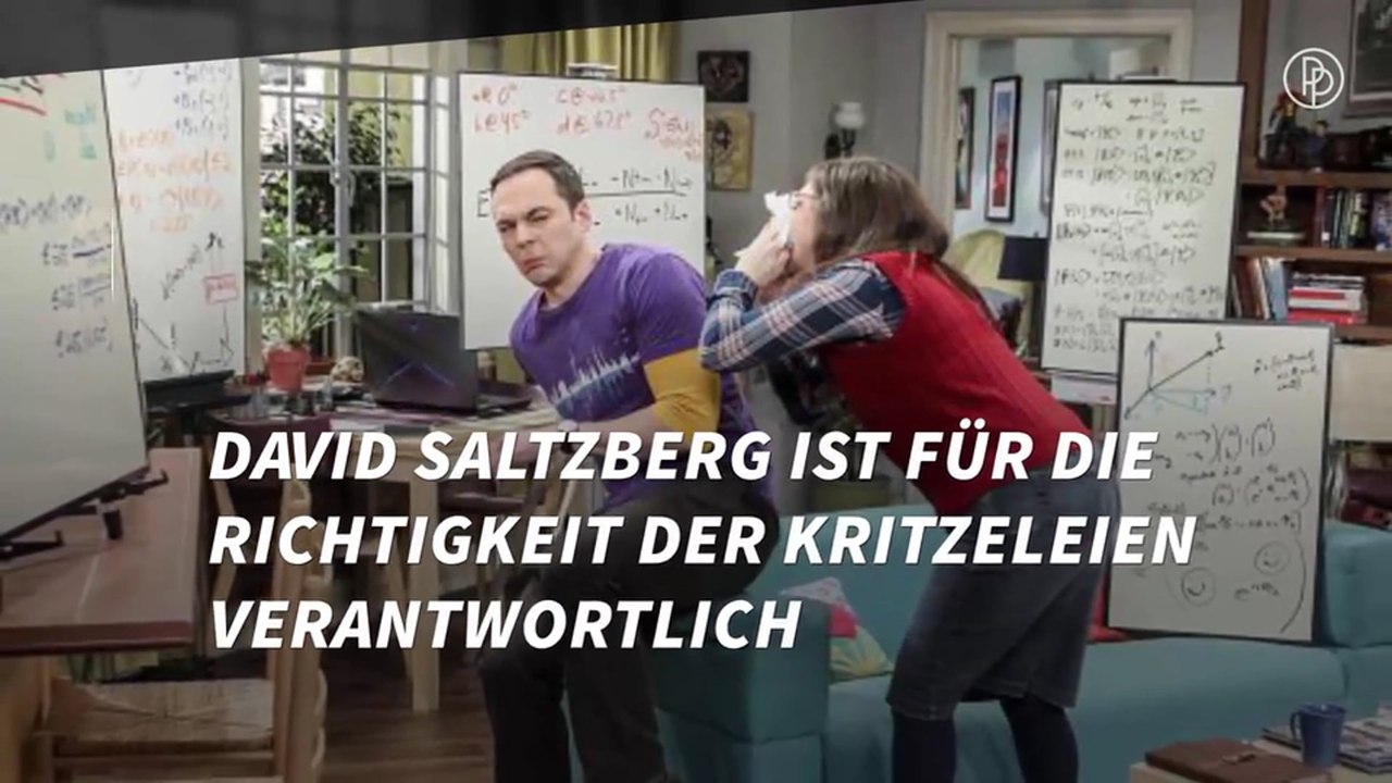 10 Dinge, die ihr noch nicht über „The Big Bang Theory“ wusstet