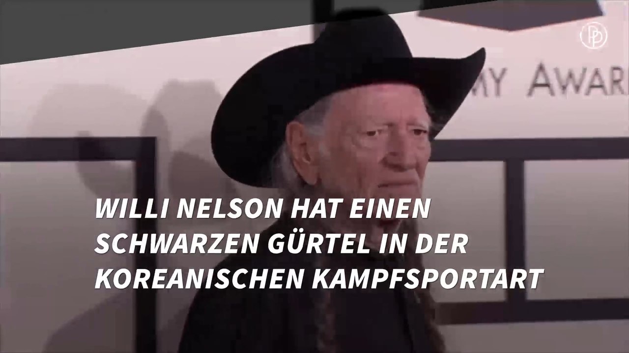 Diese Promis sind alle trainierte Kampfsportler