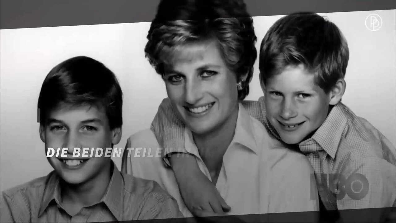 Prinz William und Prinz Harry bedauern letztes Telefonat mit Lady Diana