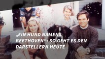 „Ein Hund namens Beethoven“: So geht es den Darstellern heute