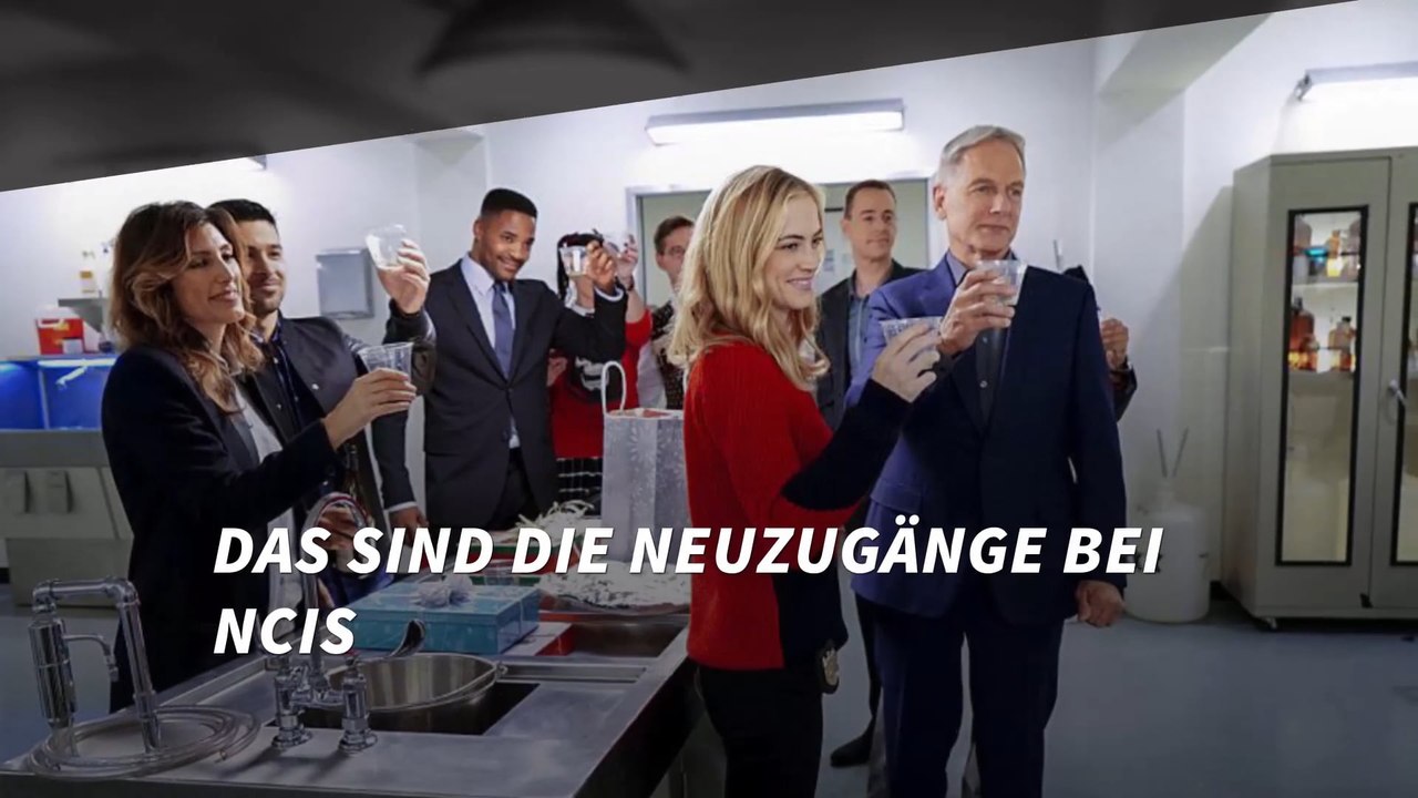 Das sind die Neuzugänge bei NCIS
