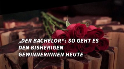 „Der Bachelor“: So geht es den bisherigen Gewinnerinnen heute
