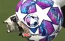 Así se mueve el balón cuando impacta en el nuevo FIFA 21 ¡Me quiero morir!