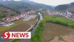 Fishing ban on China's Chishui River helps defend biodiversity