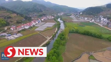 Fishing ban on China's Chishui River helps defend biodiversity