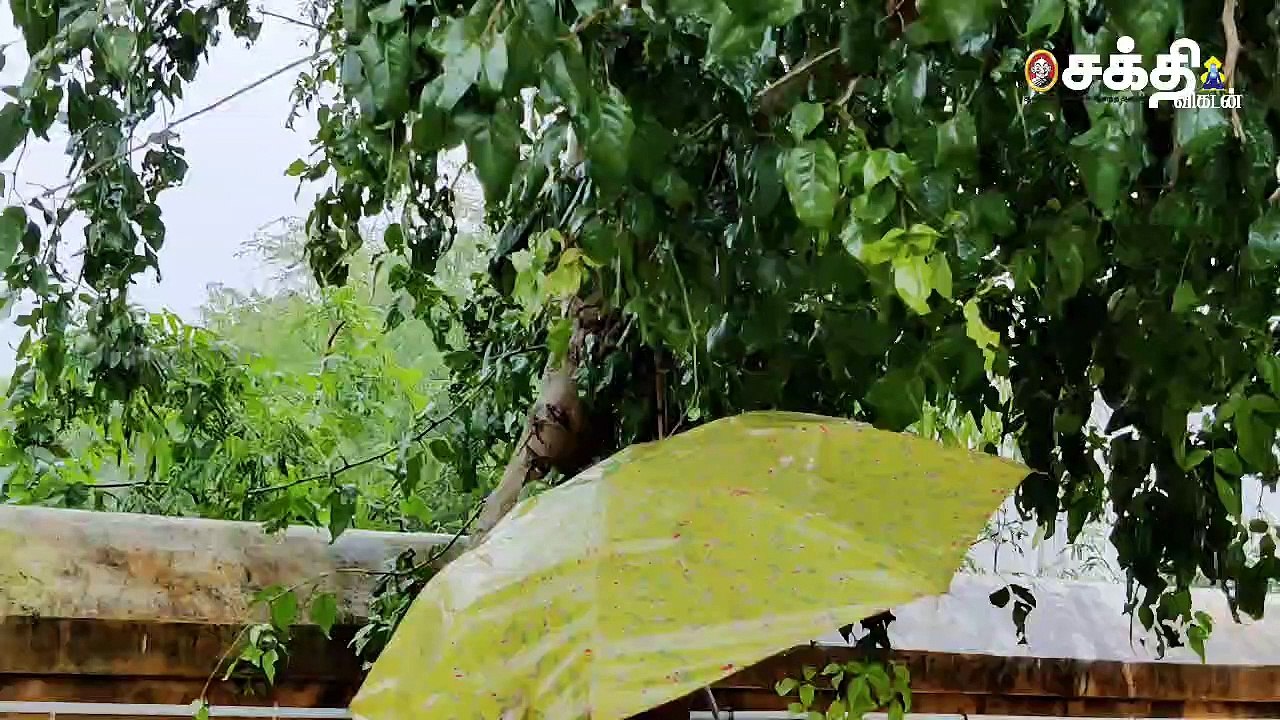 பெரமண்டூர் வராகர் வழிபாடு - வீடியோ 2