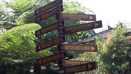 Tips Liburan Aman di Masa Pandemi Covid-19