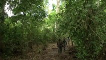 El Valle de Zongo, en Bolivia, esconde 20 especies nuevas de flora y fauna