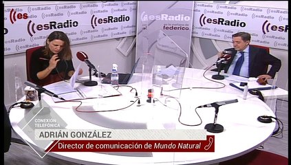 Mundo Natural: El estómago en Navidad