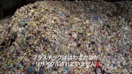 映画『プラスチックの海』