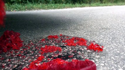 Crushing Soft Things by car! CAR vs FROG (Toy)