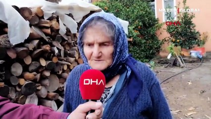 Haluk Levent cinsel saldırıya uğrayan buzağı ve annesini satın aldı