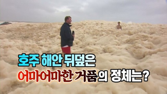 [세상만사] '빠지면 죽겠네'...호주 동부 해안 뒤덮은 거품의 정체는? / YTN