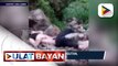 #UlatBayan | Mas malalim na imbestigasyon kaugnay ng lalaking kinidnap at pinugutan sa Baguio City, patuloy; dalawa sa mga suspek sa krimen, mga pulis umano
