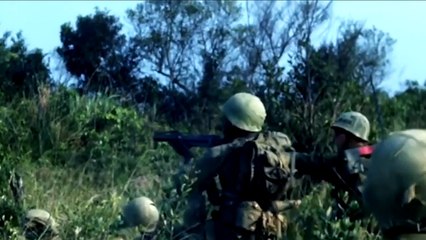 U.S Medal of Honor Winner • Major Howard V. Lee • Vietnam War