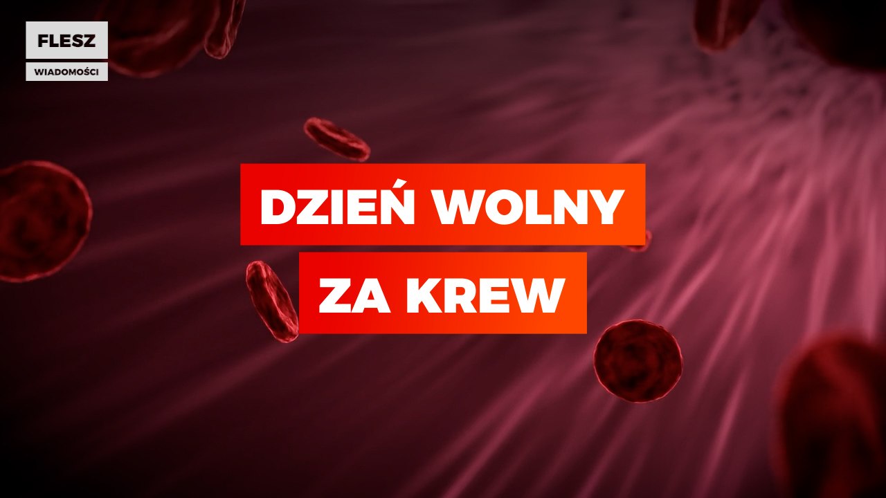 Dodatkowy dzień wolny od pracy dla osób, które oddały krew lub osocze