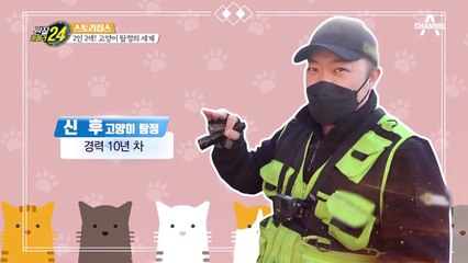 위험에 처한 길냥이들을 잡는 사람? 신기한 '고양이 탐정'의 세계