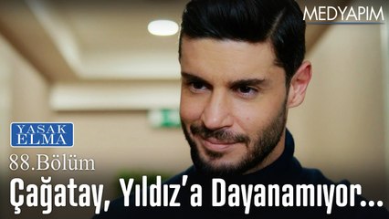 Çağatay, Yıldız'a dayanamıyor -  Yasak Elma 88. Bölüm