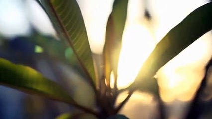 Triplex - à vendre - Val-d'Or - 18799399