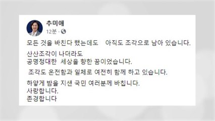추미애, 사의 표명 뒤 첫 입장 표명..."공명정대 세상 향한 꿈" / YTN