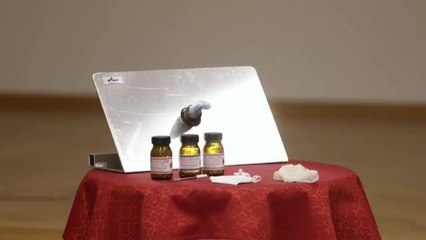 Perros que huelen el coronavirus