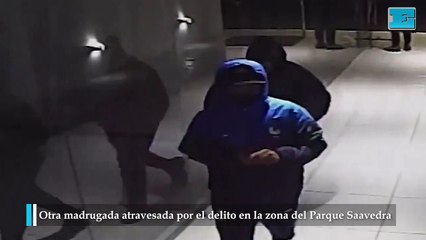 Otra madrugada atravesada por el delito en la zona del Parque Saavedra