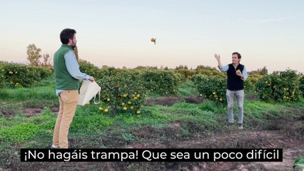 Gasol, Fernando Alonso, Carolina Marín y Bisbal se suman al reto #fruitimpact