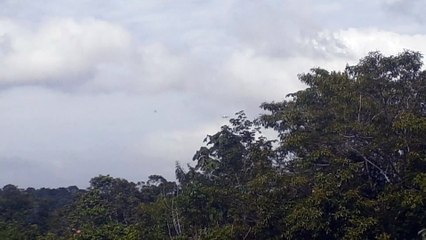 Boeing 777-300ER PT-MUE na aproximação final antes de pousar em Manaus vindo de Guarulhos