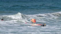 Feel-Good-Countdown, 12: Beach Dog-Surfing-Competition