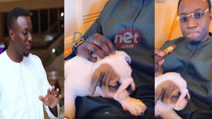 20millions le prix de son Chien Mo Gates justifie...Une Bonne agée de 16ans, torturée et balancée...