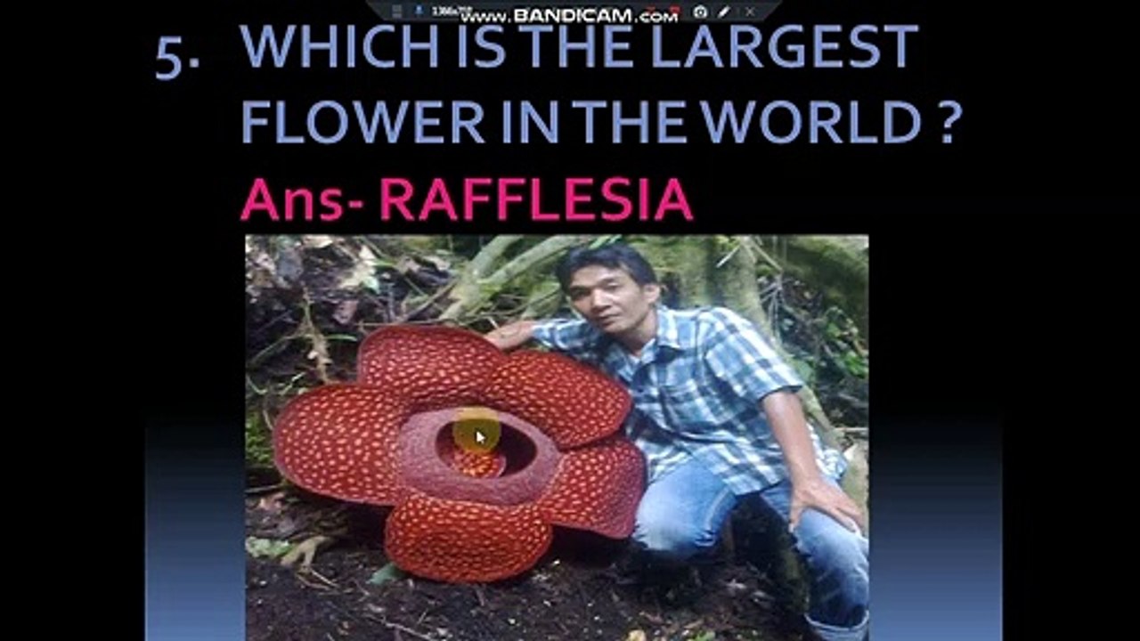GENERAL KNOWLEDGE 2