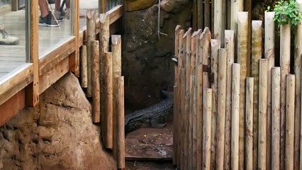 Inquietos - Tráiler