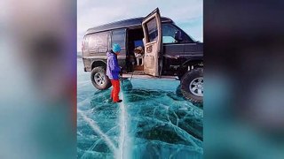 Un chien hésite à sauter sur la glace - Lac Baika - Sibérie