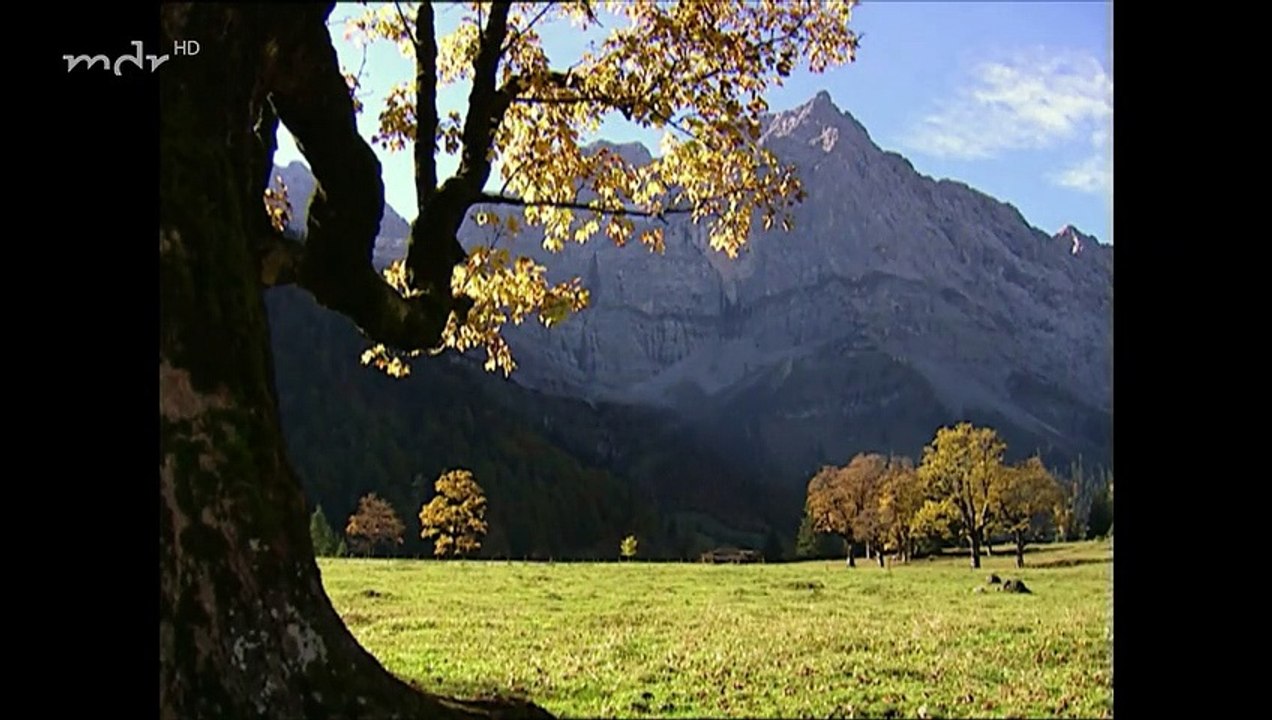 Sturm der Liebe Folge 282