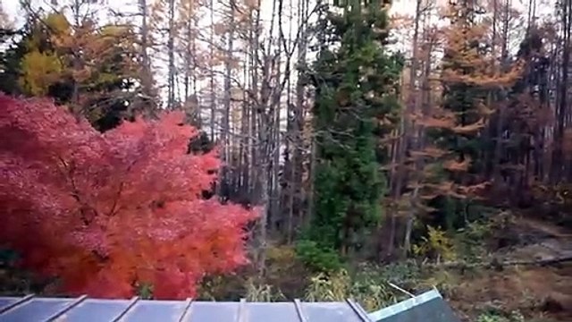 Système de douche et toilettes dans un hotel (Japon)