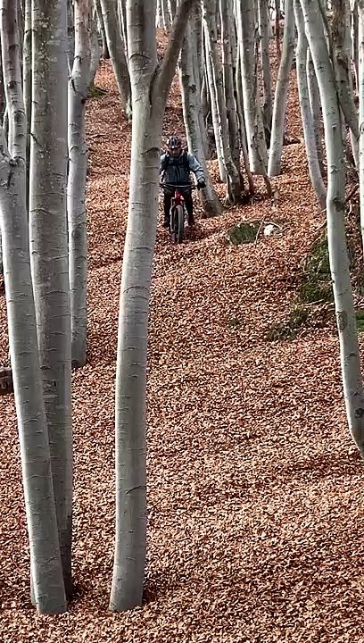 Rouler dans les feuilles mortes