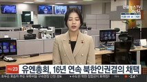 유엔총회, 16년 연속 북한인권결의 채택