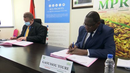 La Côte d'Ivoire va bénéficier du soutien de la Corée pour le développement de la riziculture