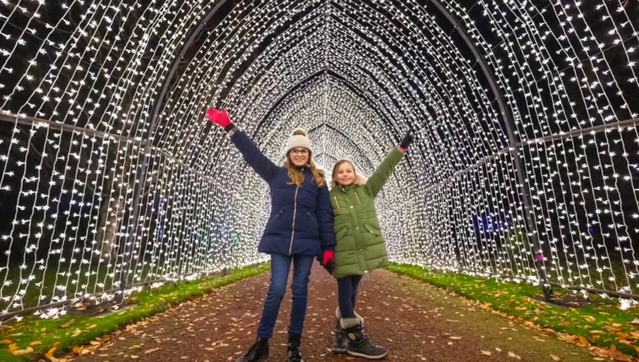 NEW PHOTOS Christmas At The Botanics 2020 dazzles in these new