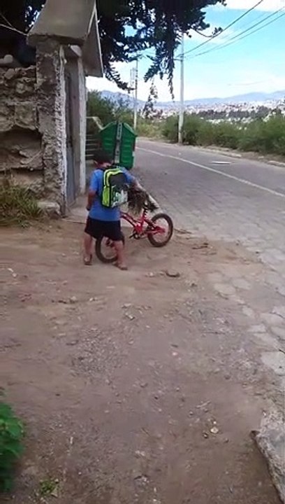 Niño le pone mascarilla a su perro al salir a la calle para protegerlo del coronavirus