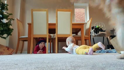Jealous Dog Interrupts Baby's Precious Moment