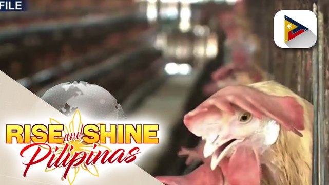 DA, inalis na ang import ban sa lahat ng poultry products ng Brazil