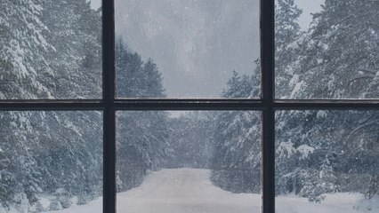 The Largest Snowfall In Years is Expected To Hit The Northeast Tonight