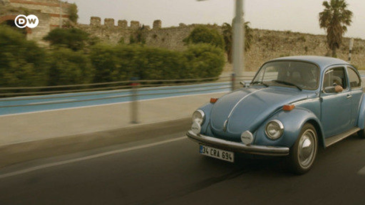 Meister Saban liebt Käfer