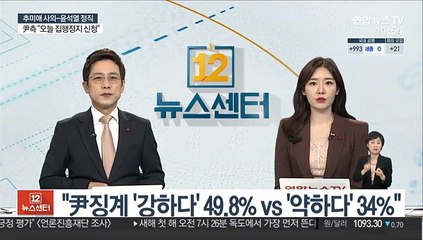"尹징계 '강하다' 49.8% '약하다' 34%"